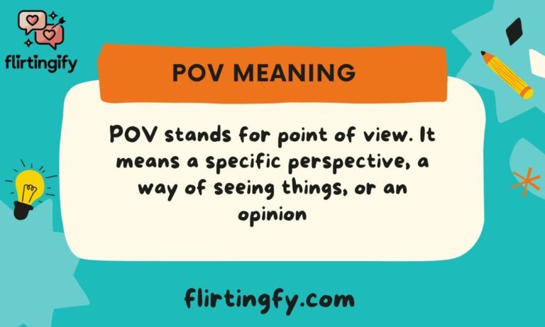 POV Meaning